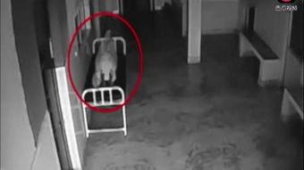 灵异出窍在线观看